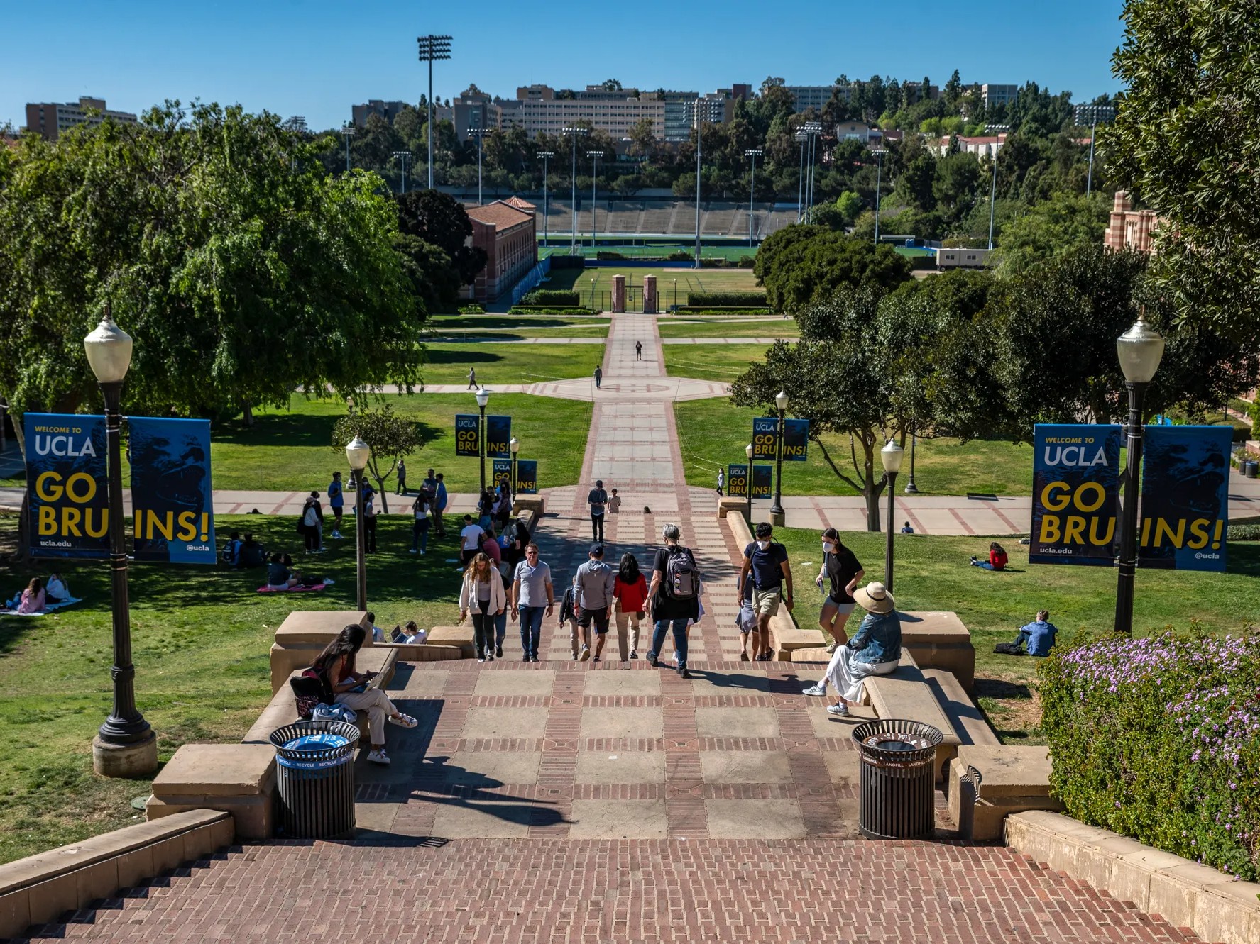 ucla-admissions-profile