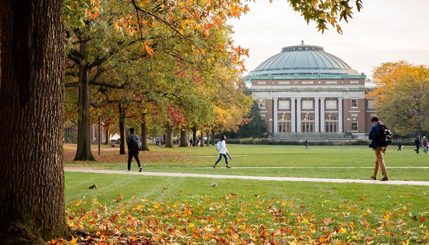 UIUC School Campus